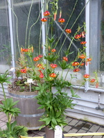 Foto: Dr. Peter Müller